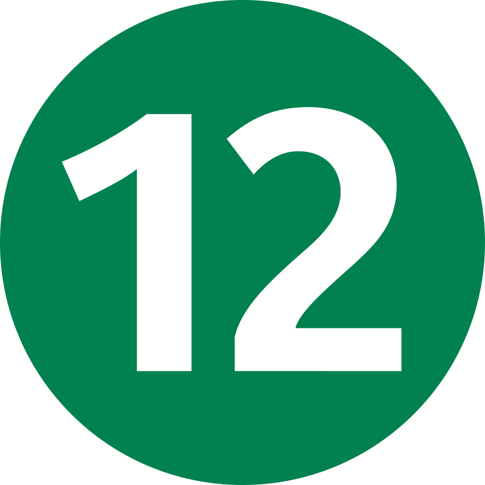 metro 12